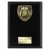 Cobra Plaque Martial Arts Trophy | Black | 175mm - PL24201D