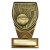 Fusion Cobra Netball Trophy Plaque | 110mm - PM25137A