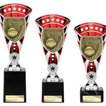 Cobra Star Netball Trophy | Red & Silver | 255mm