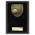 Cobra Plaque Tennis Trophy | Black | 150mm - PL24222C