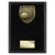 Cobra Plaque Tennis Trophy | Black | 175mm - PL24222D