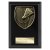 Cobra Plaque Badminton Trophy | Black | 125mm - PL24221B