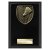 Cobra Plaque Badminton Trophy | Black | 150mm - PL24221C