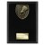 Cobra Plaque Badminton Trophy | Black | 175mm - PL24221D