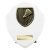 Cobra Shield Badminton Trophy | White | 150mm - PT24221C