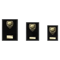 Cobra Plaque Basketball Trophy | Black | 175mm