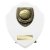 Cobra Shield Basketball Trophy | White | 150mm - PT24196C