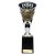 Cobra Star Ice Hockey Trophy | 255mm - TR24217C