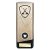 Prime Heavyweight GAA Hurling Trophy | Gold | 190mm - PM25493B
