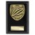 Cobra Plaque Cycling Trophy | Black | 125mm - PL25139B