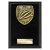 Cobra Plaque Cycling Trophy | Black | 150mm - PL25139C
