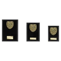Cobra Plaque Cycling Trophy | Black | 150mm