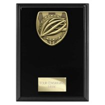 Cobra Plaque Cycling Trophy | Black | 175mm