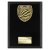Cobra Plaque Cycling Trophy | Black | 175mm - PL25139D