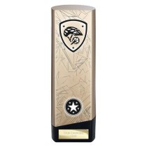 Prime Heavyweight Cycling Trophy | Gold | 220mm
