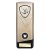 Prime Heavyweight Shooting Trophy | Gold | 190mm - PM25454B