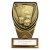 Fusion Cobra Cards Trophy Plaque | 110mm - PM25140A