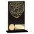 Cobra Music Glass Trophy | 140mm - CR25645B