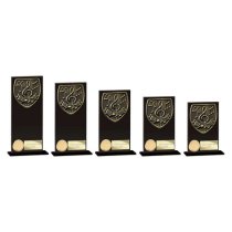 Cobra Music Glass Trophy | 200mm