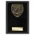 Cobra Plaque Music Trophy | Black | 150mm - PL24214C