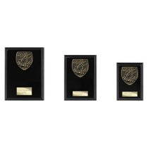 Cobra Plaque Music Trophy | Black | 175mm