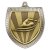 Cobra Swimming Shield Medal | Silver | 75mm - MM25138S