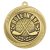 Superstar Hole In One Medal | Gold | 60mm - MM25360G
