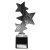 Trinity Star Multisport Trophy | Black & Silver | 215mm - TR25595C