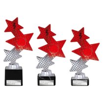 Trinity Star Multisport Trophy | Red & Silver | 215mm
