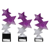 Trinity Star Multisport Trophy | Purple & Silver | 215mm
