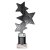 Trinity Star Tube Trophy | Black & Silver | 240mm - TR25602B