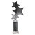 Trinity Star Tube Trophy | Black & Silver | 290mm - TR25602D