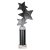 Trinity Star Tube Trophy | Black & Silver | 315mm - TR25602E