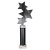 Trinity Star Tube Trophy | Black & Silver | 340mm - TR25602F