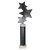 Trinity Star Tube Trophy | Black & Silver | 365mm - TR25602G