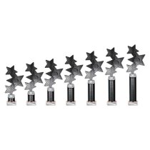 Trinity Star Tube Trophy | Black & Silver | 365mm