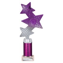 Trinity Star Tube Trophy | Purple & Silver | 265mm