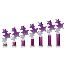 Trinity Star Tube Trophy | Purple & Silver | 365mm