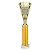 Cobra Star Tube Trophy | Gold | 355mm - TR25638F