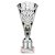 Cobra Star Tube Trophy | Silver | 230mm - TR25641A