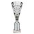 Cobra Star Tube Trophy | Silver | 255mm - TR25641B