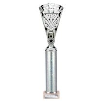 Cobra Star Tube Trophy | Silver | 380mm