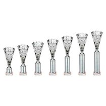 Cobra Star Tube Trophy | Silver | 380mm