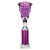 Cobra Star Tube Trophy | Purple & Silver | 305mm - TR25639D