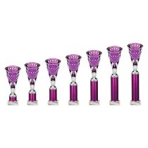 Cobra Star Tube Trophy | Purple & Silver | 380mm