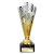 Rodeo Trophy | Gold & Silver | 195mm - TR25560B