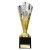 Rodeo Trophy | Gold & Silver | 215mm - TR25560C