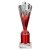 Rodeo Tube Trophy | Red & Silver | 240mm - TR25606B