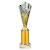 Rodeo Tube Trophy | Gold & Silver | 265mm - TR25608C