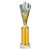 Rodeo Tube Trophy | Gold & Silver | 290mm - TR25608D